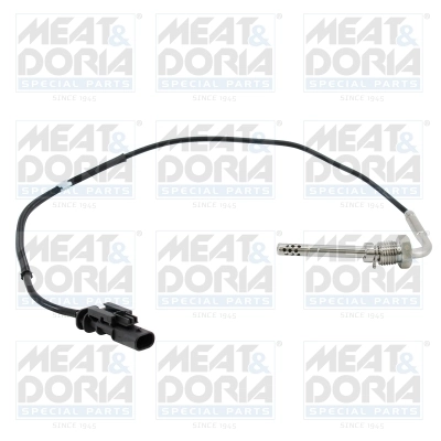 Sensor, exhaust gas temperature